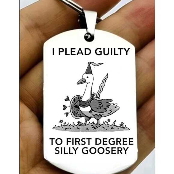 First Degree Silly Goose Meme Joke Funny Stainless Keychain Art Amimal - Picture 1 of 1